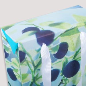 Click for enlarging Box-Like Paper Bags 1