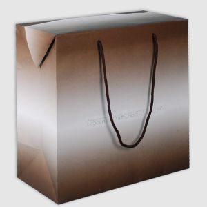 Click for enlarging Box-Like Paper Bags 2
