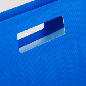 Click for enlarging Paper Bags with Die Cut Handles 1