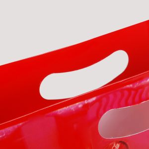 Click for enlarging Paper Bags with Die Cut Handles 2
